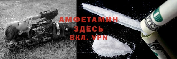 индика Дмитриев