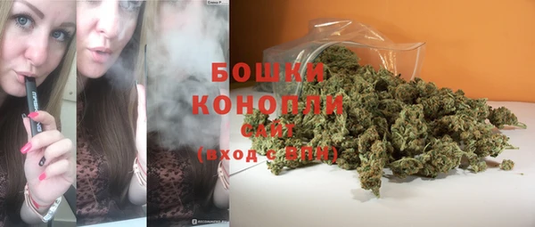 mdpv Елизово