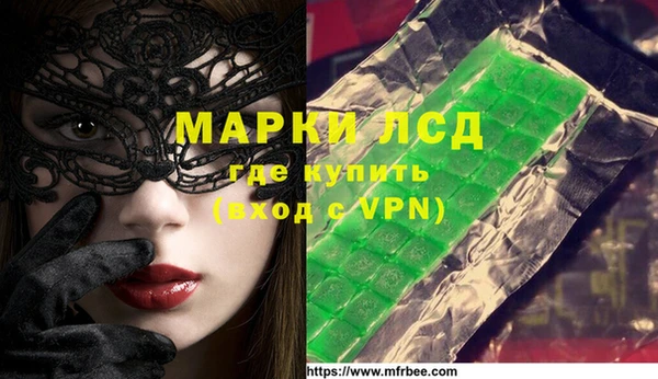 индика Дмитриев