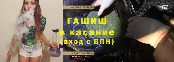соль ск Ельня
