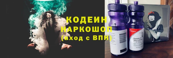 стаф Щучье