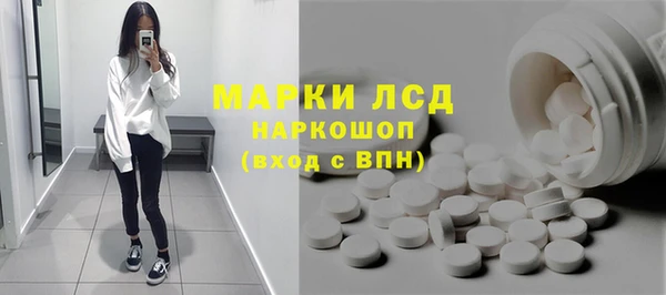 соль ск Ельня