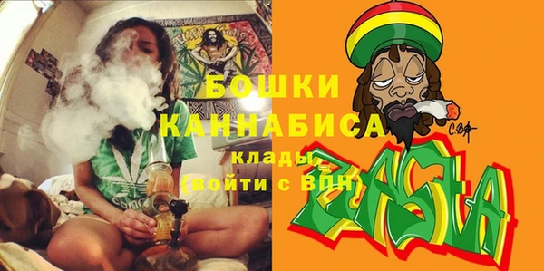 индика Дмитриев