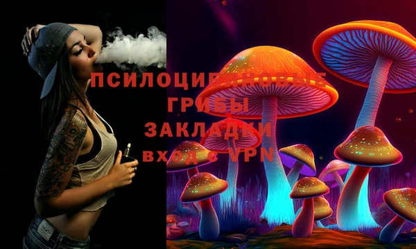 соль ск Ельня