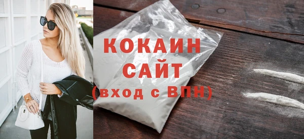 соль ск Ельня
