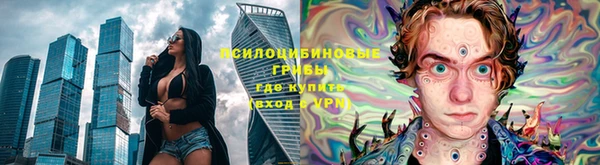 соль ск Ельня