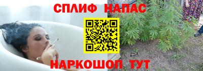 СК Камышлов