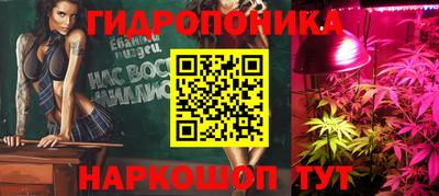 СК Камышлов