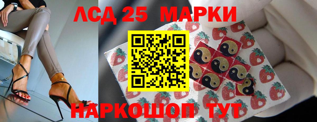 blacksprut как зайти  Вход с VPN  Похвистнево  Лсд 25 экстази кислота 