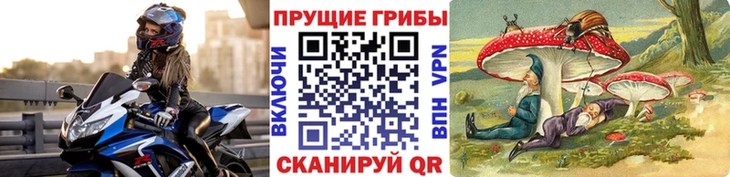 Галлюциногенные грибы Cubensis Похвистнево