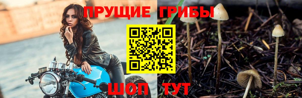 МАРИХУАНА  КОКАИН  НБОМе  МЕФ   Похвистнево  Вход с VPN  ГАШИШ 